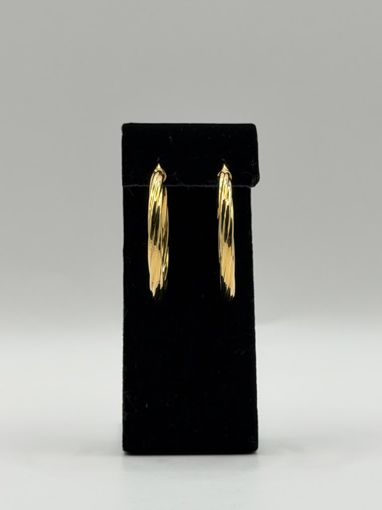 ARGOLLAS TOCIDAS