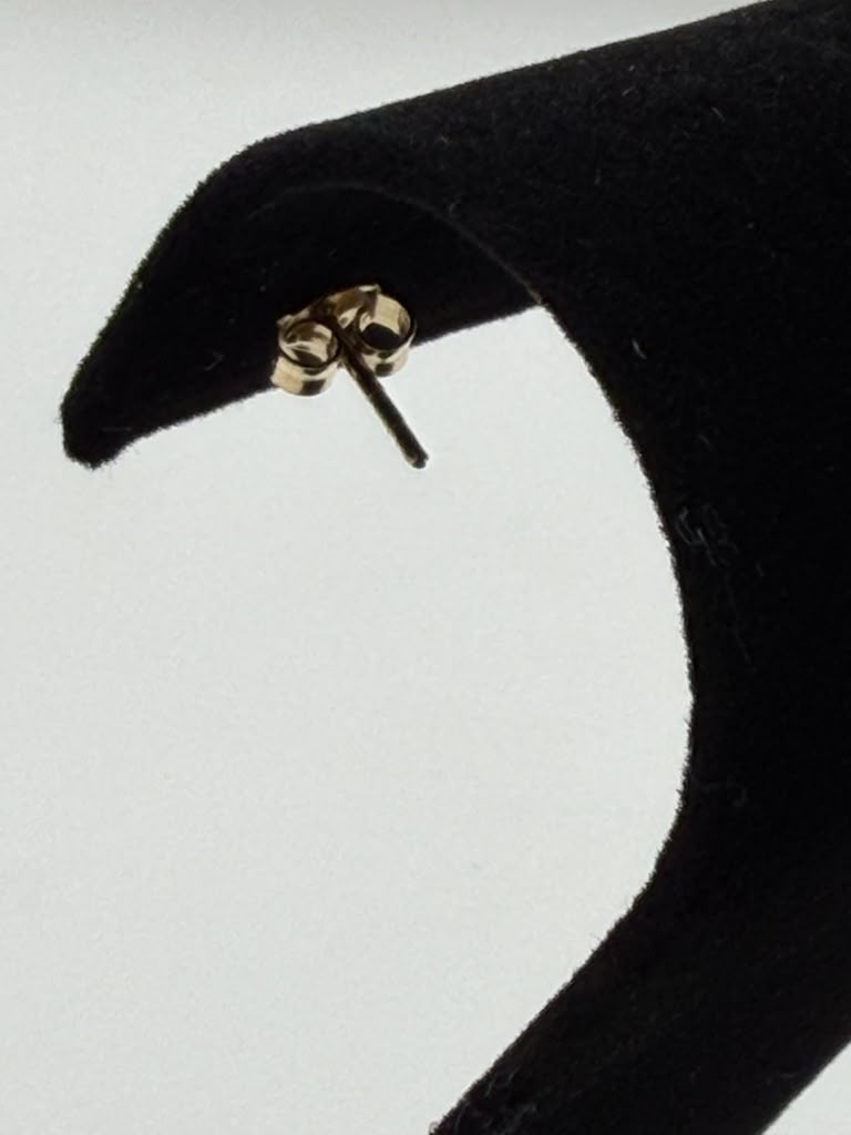 PEQUEÑOS ARETES DE TORTUGA